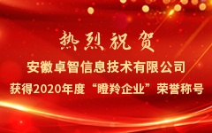 熱烈祝賀安徽卓智信息技(jì)術(shù)有限公司獲得2020年(nián)度“瞪羚企業(yè)”榮譽稱号